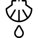 bautizos icono